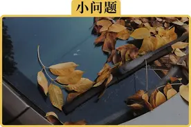 雨刮出现嘎吱吱异响，自己动手如何解决图片