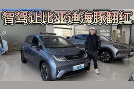 曾经一车难求，智驾让它翻红！25款比亚迪海豚值得买吗？视频封面
