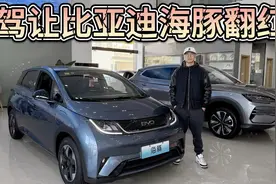 曾经一车难求，智驾让它翻红！25款比亚迪海豚值得买吗？视频封面