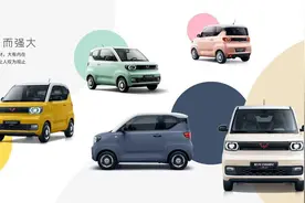要什么自行车？五菱宏光MINIEV不好吗？图片