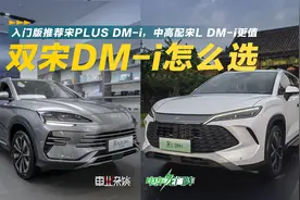 价格一致配置相似，宋L DM-i和宋PLUS DM-i谁更值得买呢？视频封面