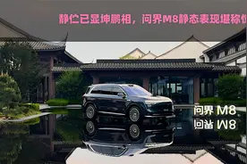 静伫已显鲲鹏相，问界M8静态表现堪称惊艳视频封面