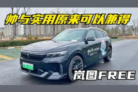 岚图FREE春节长测特辑第四期：《详细看看静态细节到底怎么样？》视频封面