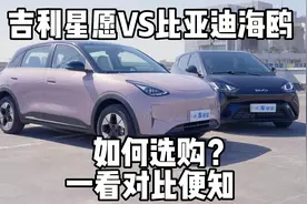 吉利星愿和比亚迪海鸥，该如何选购？看完对比视频再做决定视频封面