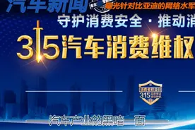 315晚会没曝光车企 但曝光了汽车产业的黑暗一面图片