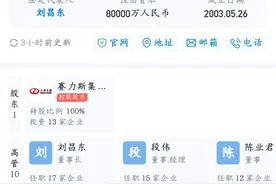 东风小康正式更名赛力斯，刘昌东出任法人图片