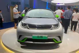 曾买车要排队，如今月销不足1万，比亚迪海豚也卖不动了？图片