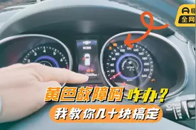 车子仪表盘出现一堆黄色故障码，我教你正确处理，几十块搞定