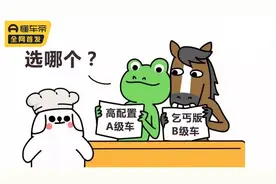 买车，鸡头和凤尾怎么选？高配A级车和低配B级车怎么选？图片