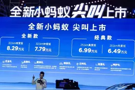 换装新车标，最高纯电续航321km，新款小蚂蚁售价6.49万起图片
