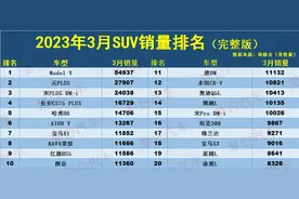 3月份SUV销量榜公布：1-307名，Model Y夺冠，CR-V、途观L未进前10图片