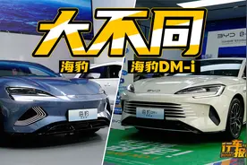 都叫海豹，但完全不同，比亚迪海豹和海豹DM-i怎么选？视频封面