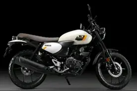 续航500km！雅马哈小排复古GT150：外观精致，实用性强，13390元图片
