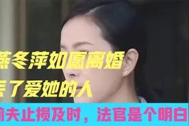燕冬萍如愿离婚，丢了爱她的人，前夫止损及时，法官是个明白人！视频封面
