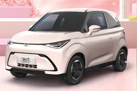 续航301km，售价5.49万起，快查收今日份的可爱小车！图片