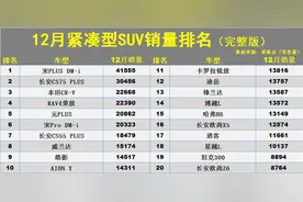12月紧凑型SUV销量榜：1-125名，RAV4荣放升第四，途岳哈弗H6上榜图片