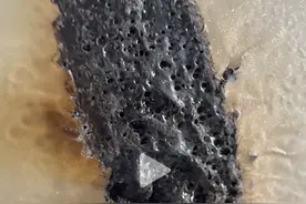 极氪被指偷工减料，高管们坐不住了！图片