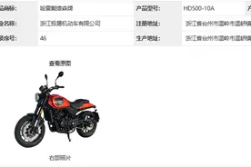 钱江·哈雷戴维森 350 / 500 同步来袭，最便宜的哈雷真的来了！图片
