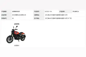钱江·哈雷戴维森 350 / 500 同步来袭，最便宜的哈雷真的来了！图片