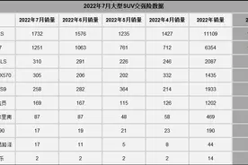 2022年7月大型SUV交强险数：雷克萨斯LX570月销305辆图片
