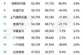 活久见，这些冷门车销量居然这么好图片