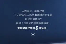 凌渡L的改装车玩法，拿捏了！图片