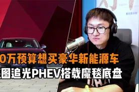 30万预算想买豪华新能源车 岚图追光PHEV搭载魔毯底盘视频封面