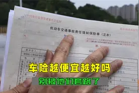 买车险价格越低越好吗？听喵哥一句劝，别被保险公司的套路坑了视频封面