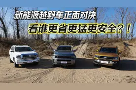 新能源越野车正面对决，看谁更省更猛更安全？！