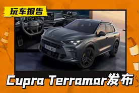 途观同平台打造，西雅特Cupra Terramar发布，多少有点似曾相识图片