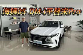 更清新但确为换皮车，海狮05 DM-i能平替宋Pro吗？视频封面