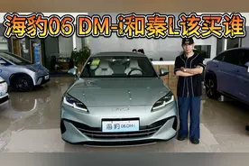 小清新很重要吗？比亚迪海豹06 DM-i和秦L该买谁？视频封面