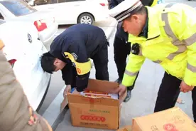 酷路泽拉大葱被罚200元，车主怒问交警：一没偷二没抢，凭啥不行图片
