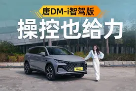 试比亚迪唐DM-i智驾版：标配五连杆+FSD减震，更值一说视频封面