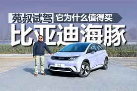 苑叔试驾比亚迪海豚，预算十万左右，为什么它值得选择视频封面