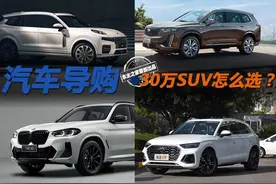 30万预算的SUV让我朋友犯了选择困难症图片