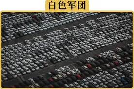 为什么买白色车的人越来越多图片