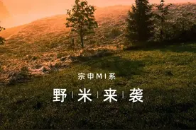 宗申野米预售价8680元起，比本田CUB便宜一大截，改装潜力大图片
