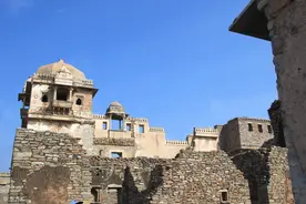 第2章 鹿蜀：兽身虎纹，其音如谣图片