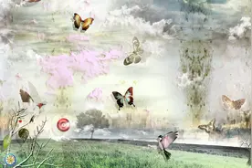 小说：你好，请问你能当我的摄影模特吗？图片