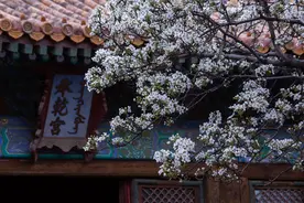 小说：姐姐抢走全家宠爱，还向妹妹炫耀，妹妹从容反击，一招致命图片
