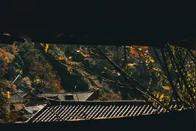 第十一章 美国城市的发展与住房问题图片