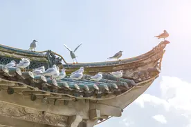 ③ 铺色练习图片