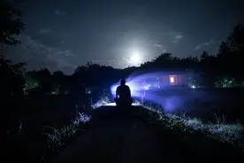小说：重生末世，从苟在防空洞开始图片