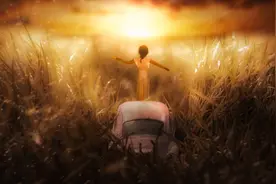 第10章 神秘小球图片