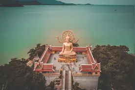 错综复杂图片
