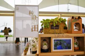 王逸图片