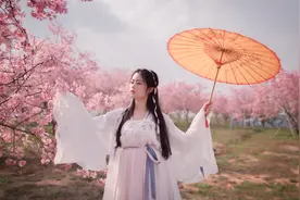 小说：少年于炽热沙漠，探秘古老遗迹；斗守护兽！图片