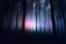 小说：一边修炼一边照顾植物人女魔头，闲来无事戳戳她的脸蛋图片
