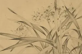 老人说日本人之爱花草植物，本就是受中国的影响图片